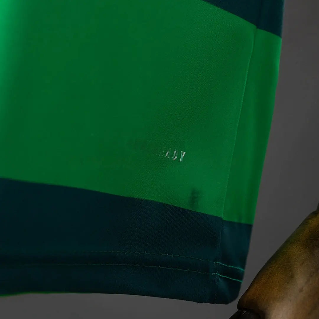 Maillot football Palmeiras Domicile Rétro 2010/11