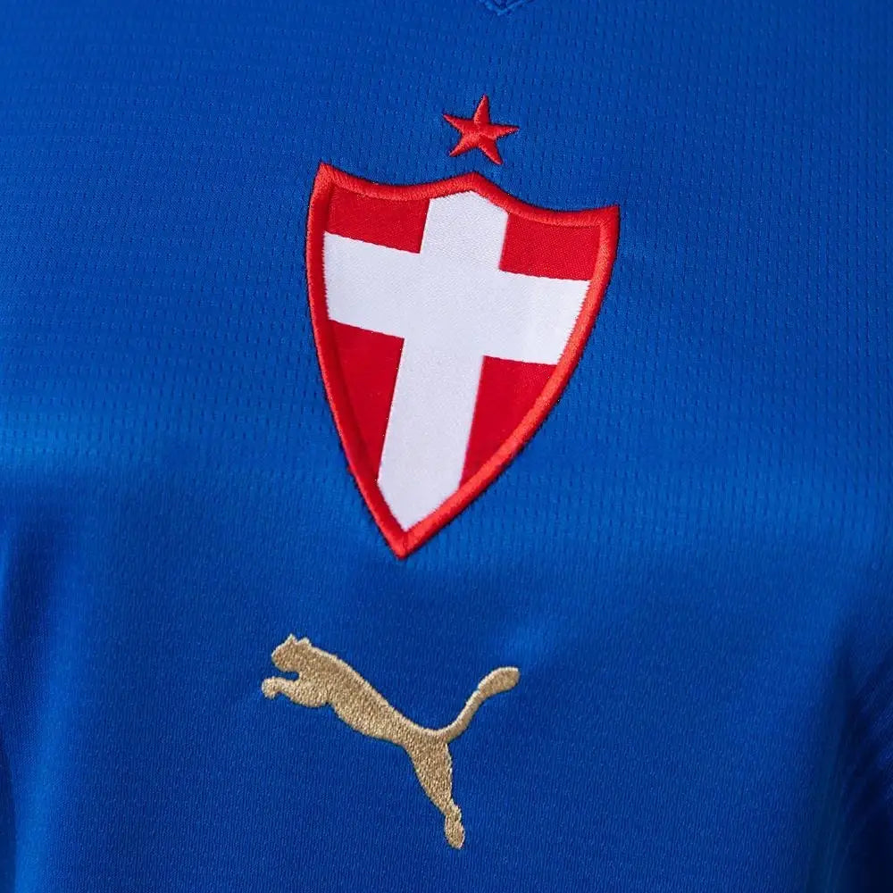 Maillot football Palmeiras third extérieur femme women 2026/27