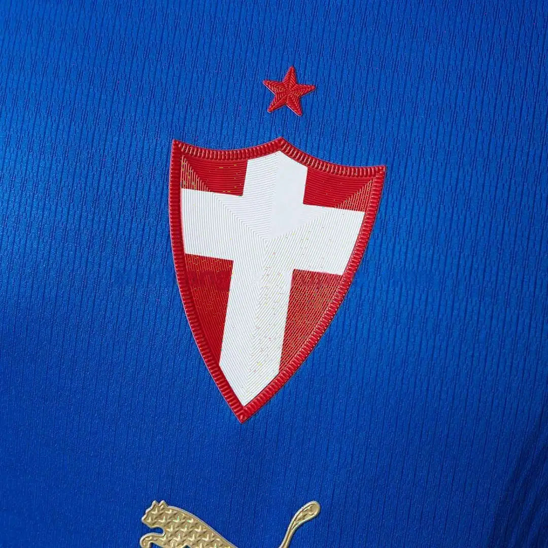 Maillot Football Palmeiras Third * Player Version 2026/27
