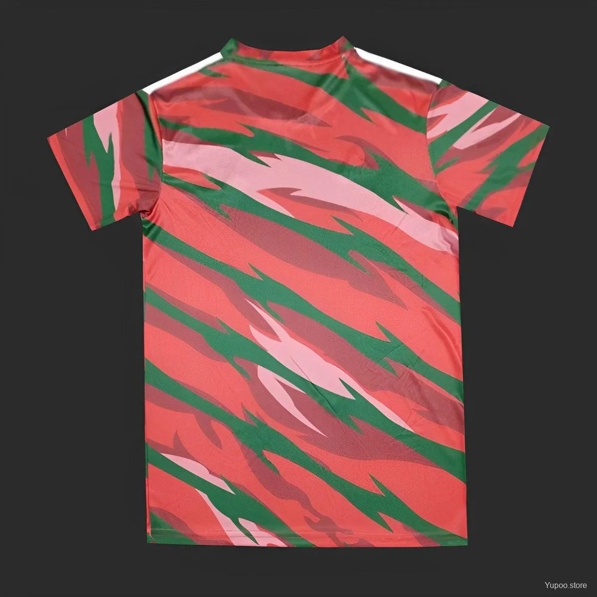 Maillot football Pays-de-Galles Wales Training entraînement 2024/25