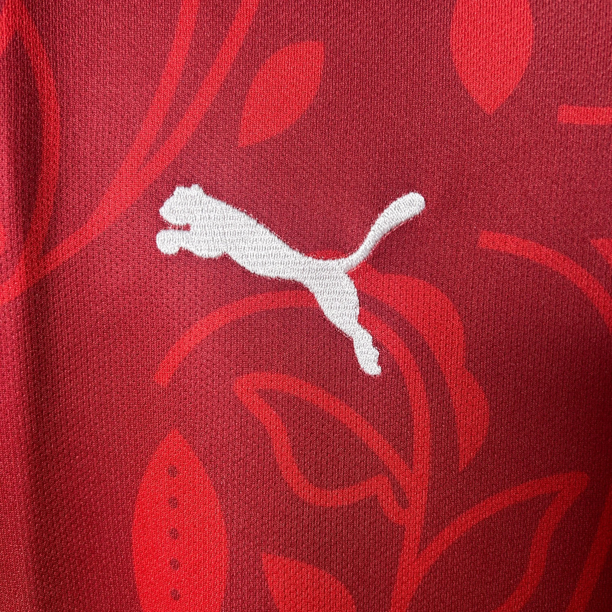 Maillot football Portugal training entraînement 2025/26