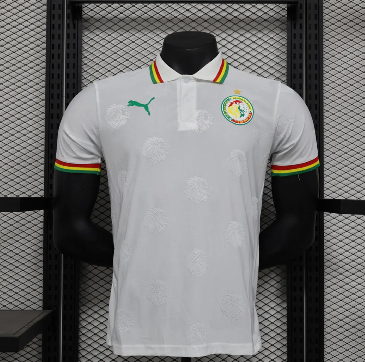 Maillot football Sénégal/Senegal domicile * Player Version * 2024/25