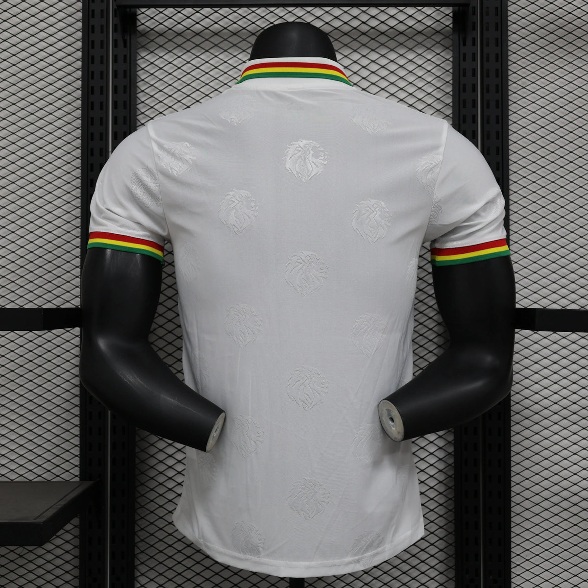 Maillot football Sénégal/Senegal domicile * Player Version * 2024/25