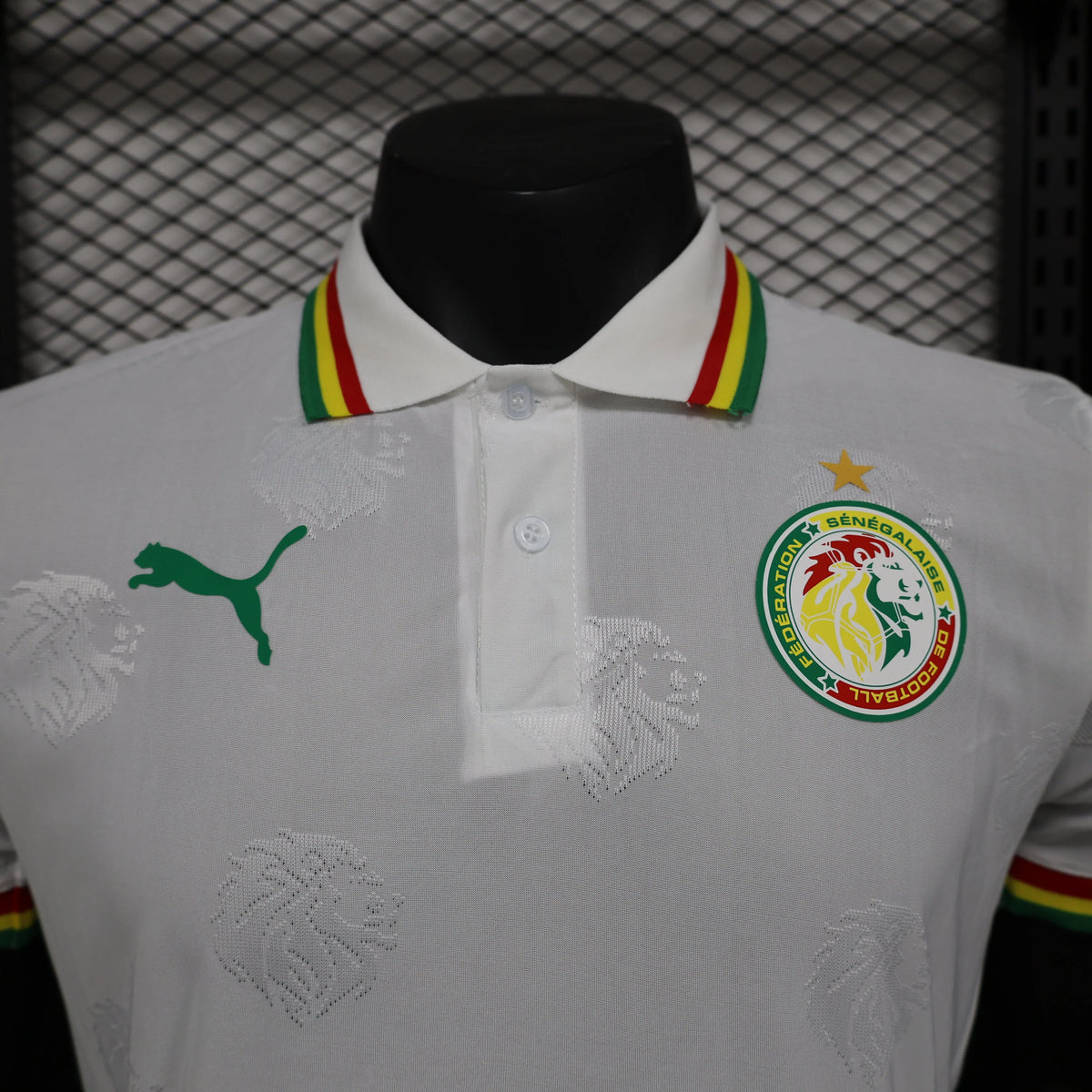 Maillot football Sénégal/Senegal domicile * Player Version * 2024/25
