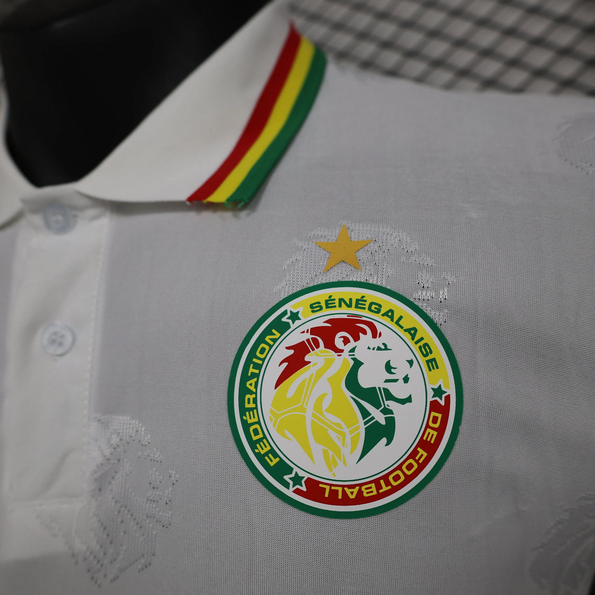 Maillot football Sénégal/Senegal domicile * Player Version * 2024/25