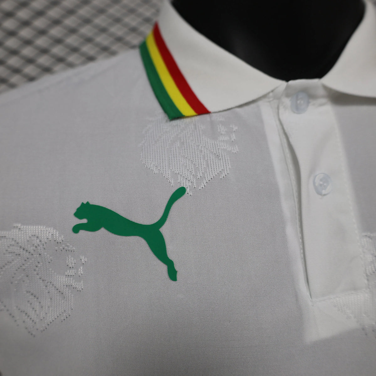 Maillot football Sénégal/Senegal domicile * Player Version * 2024/25