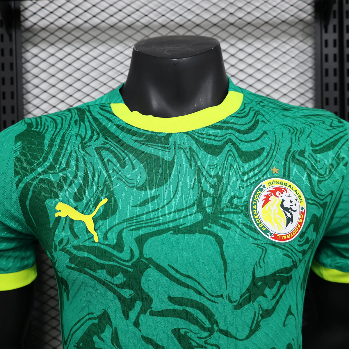 Maillot football Sénégal/Senegal Les Lions * Player Version * 2024/25