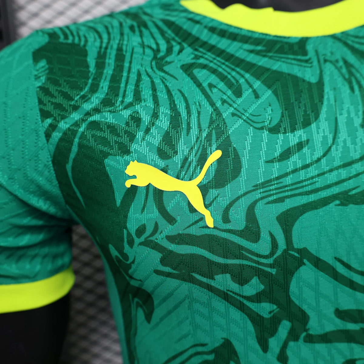Maillot football Sénégal/Senegal Les Lions * Player Version * 2024/25