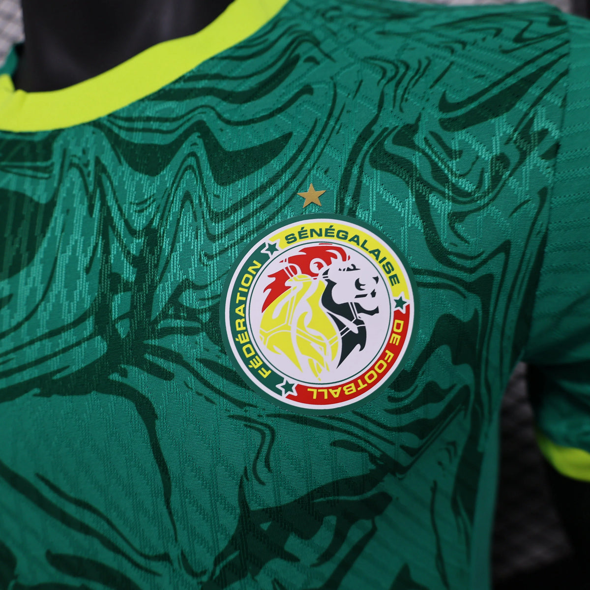 Maillot football Sénégal/Senegal Les Lions * Player Version * 2024/25