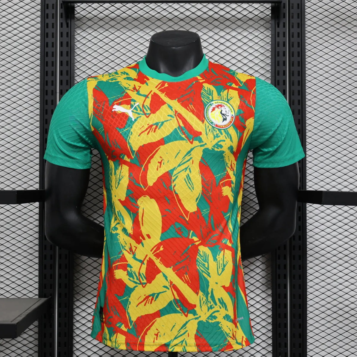 Maillot football Sénégal/Senegal entraînement pré-match * Player Version * 2024/25