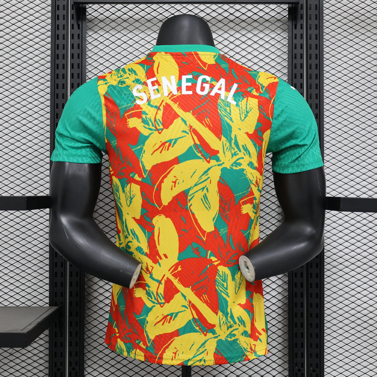Maillot football Sénégal/Senegal entraînement pré-match * Player Version * 2024/25