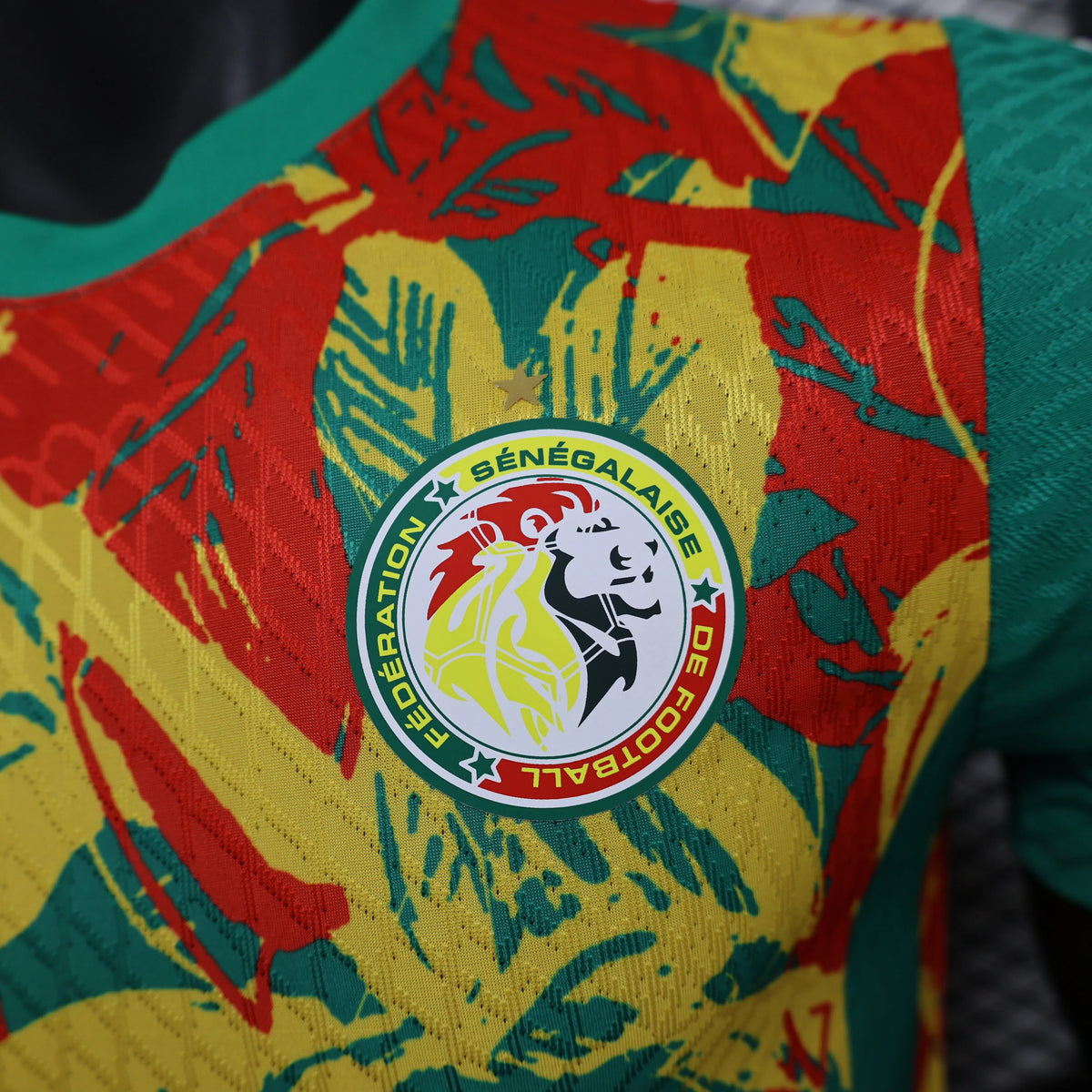 Maillot football Sénégal/Senegal entraînement pré-match * Player Version * 2024/25