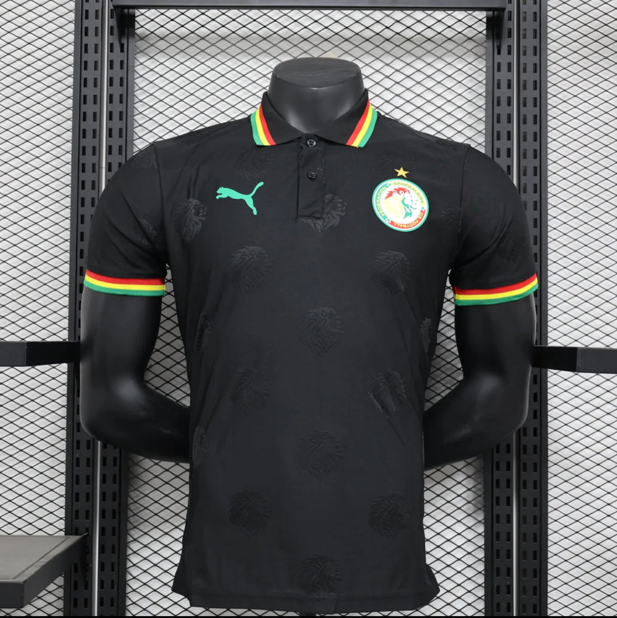 Maillot football Sénégal/Senegal extérieur * Player Version * 2024/25
