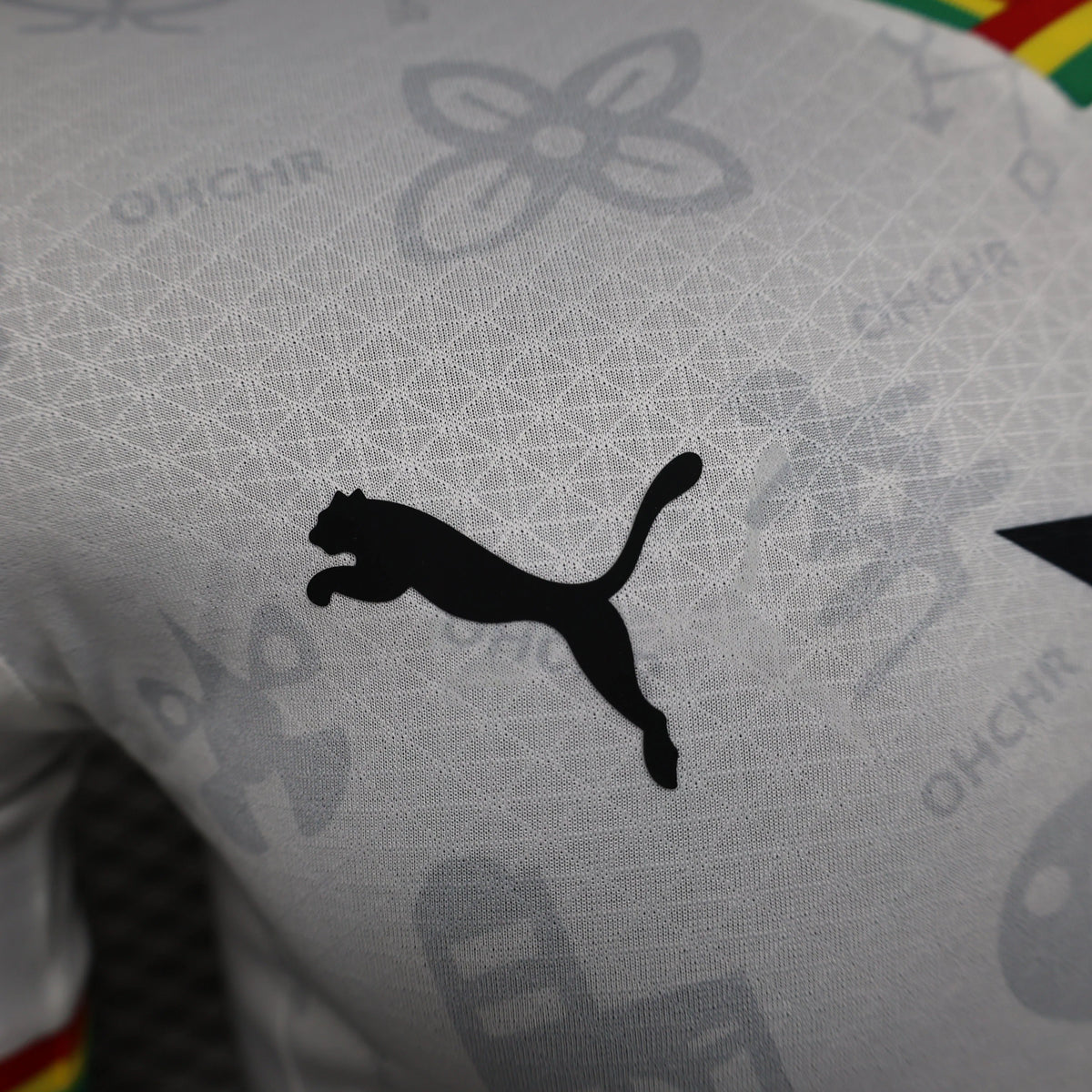 Maillot Ghana domicile Player Version 2024/25