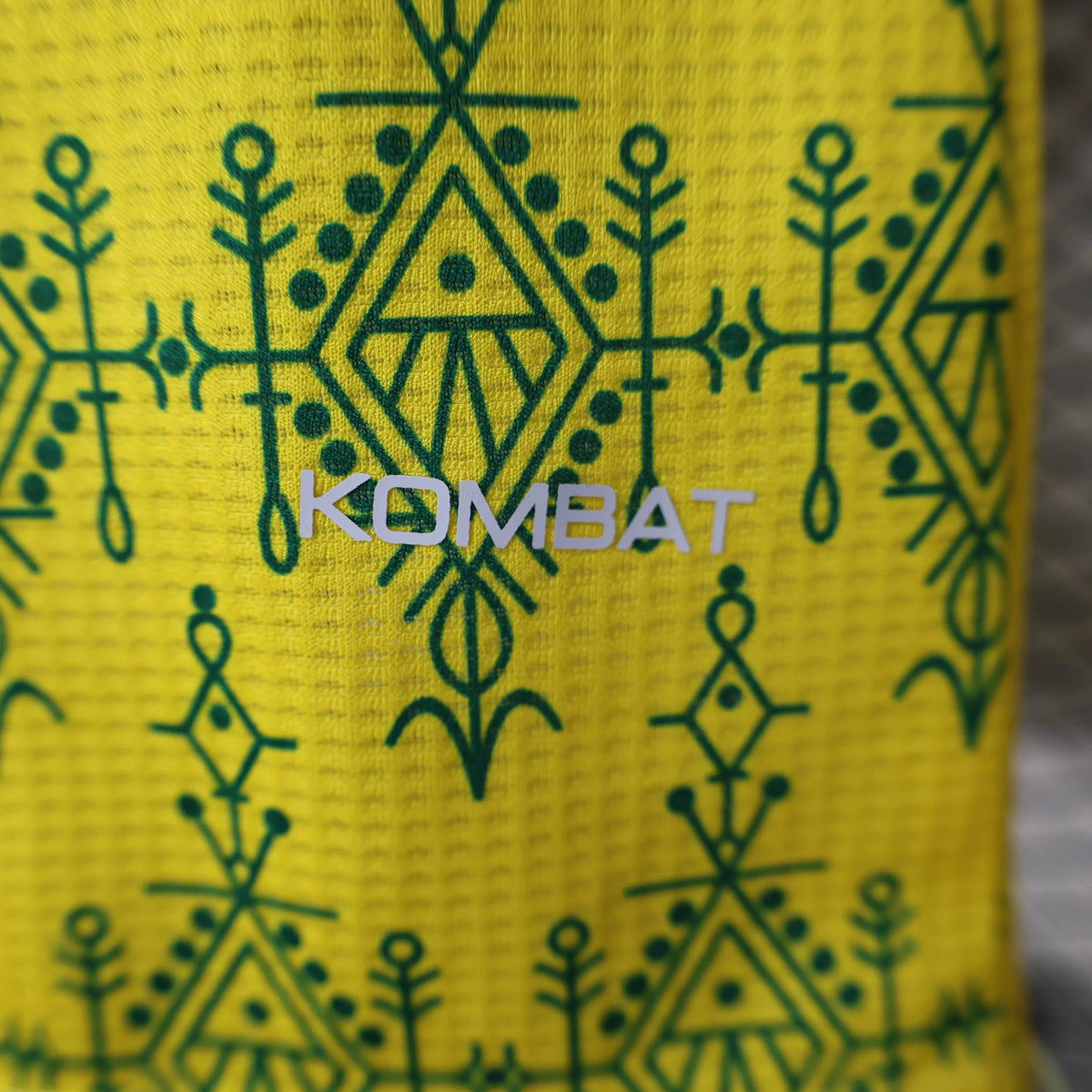 Maillot JS Kabylie (Algérie) Domicile Player Version 2024/25