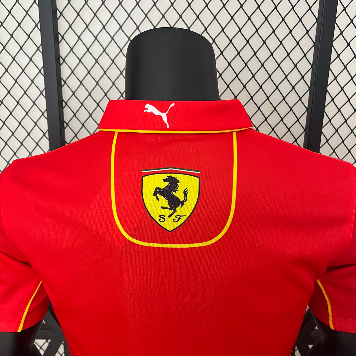Polo Formula 1 2024