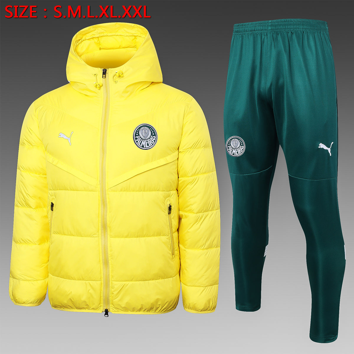 Veste Palmeiras 2023/24