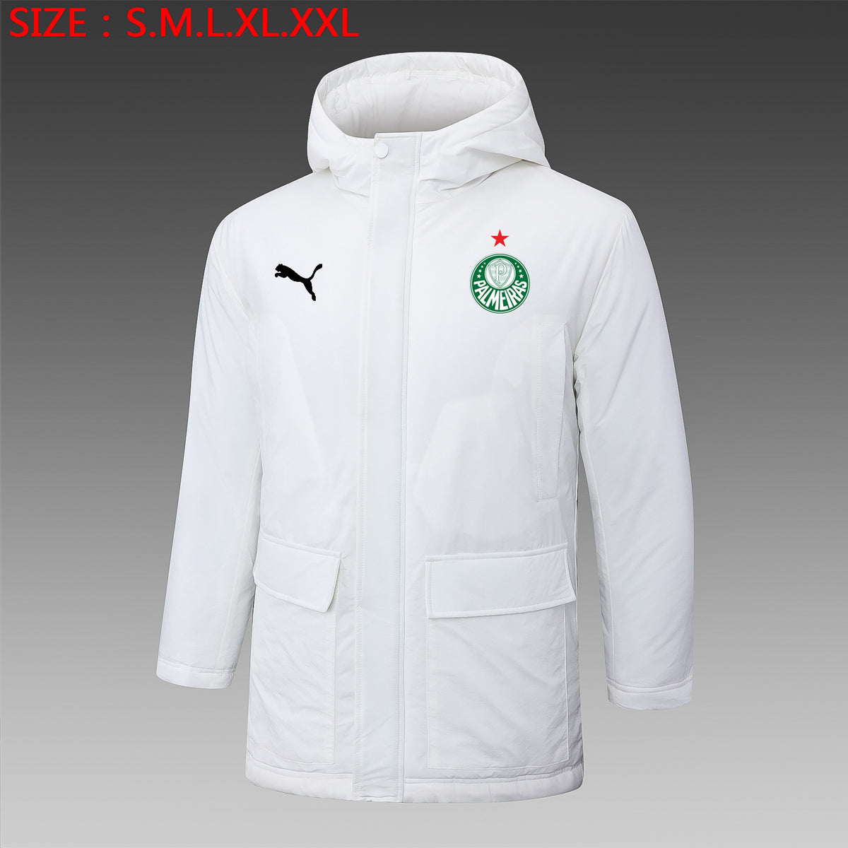 Veste Palmeiras 2024/25