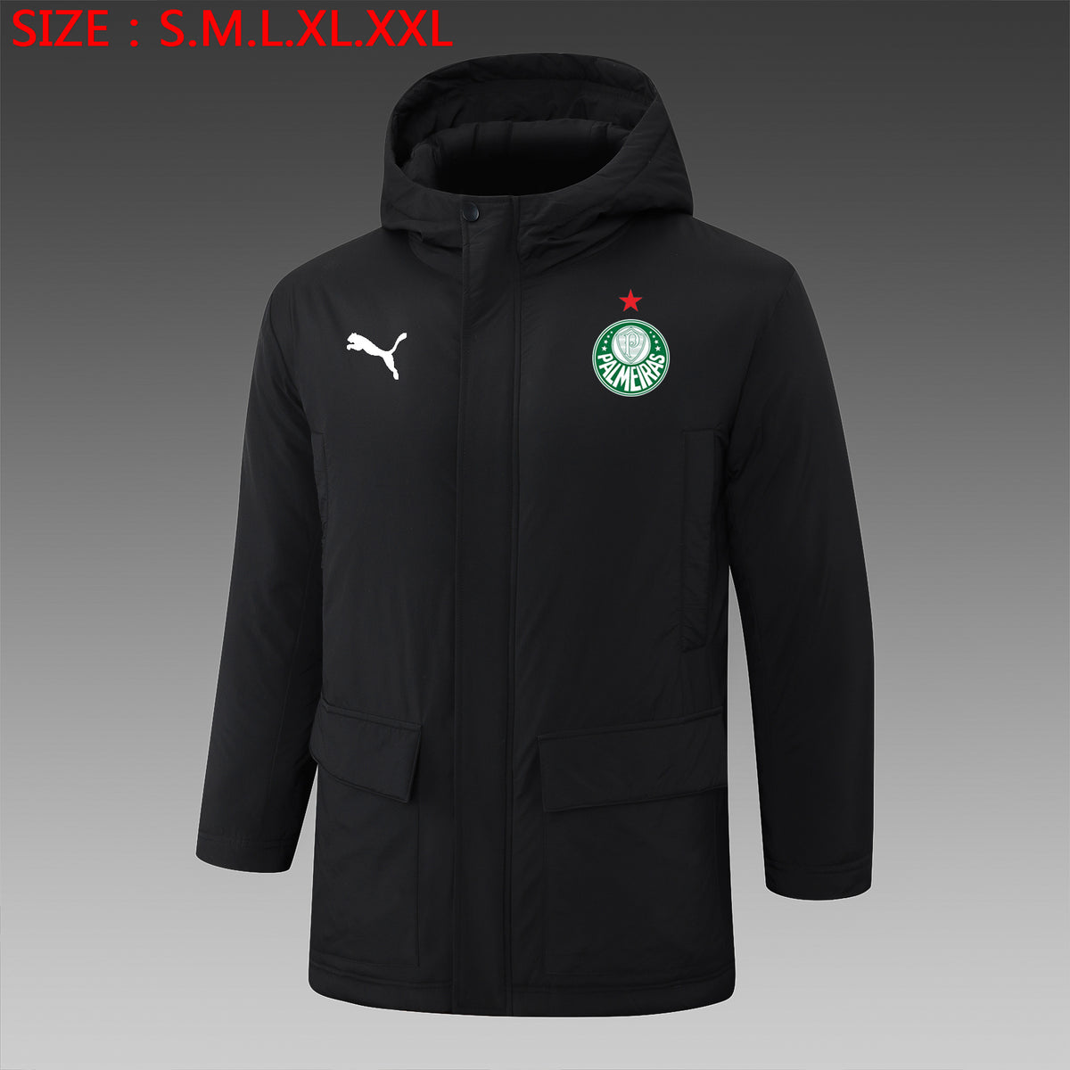 Veste Palmeiras 2024/25 Noir